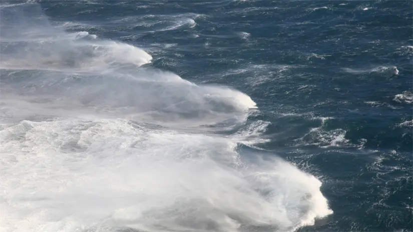 imagen recuadro Llega frente frío 19 a Tamaulipas con bajas temperaturas, vientos y lluvias. FOTO | Canva