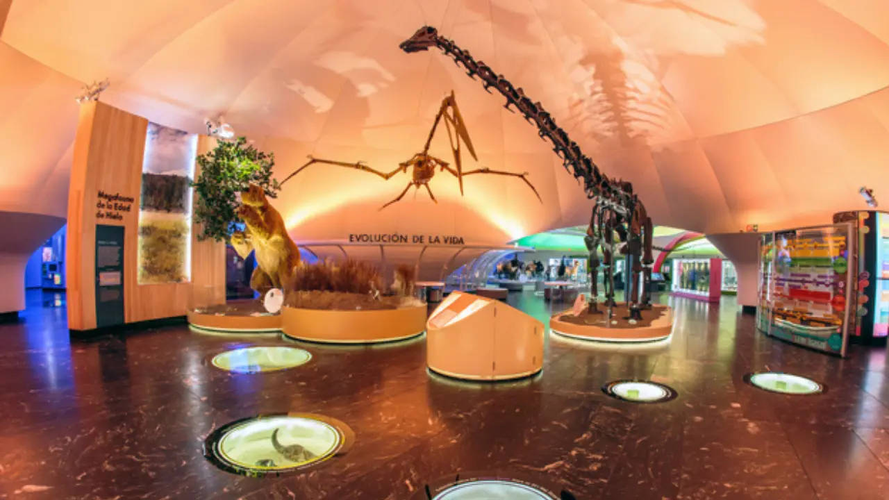 Museo de Historia Natural (MHNCA) en CDMX por actividades gratis. | SEDEMA