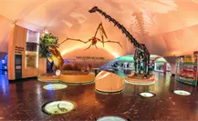 Actividades gratis en el Museo de Historia Natural en CDMX