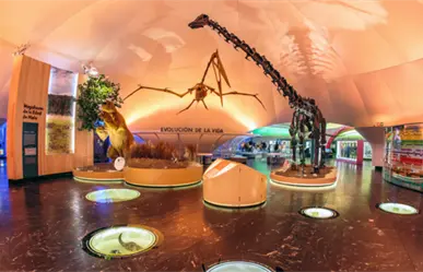 Actividades gratis en el Museo de Historia Natural en CDMX