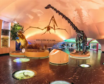 Actividades gratis en el Museo de Historia Natural en CDMX