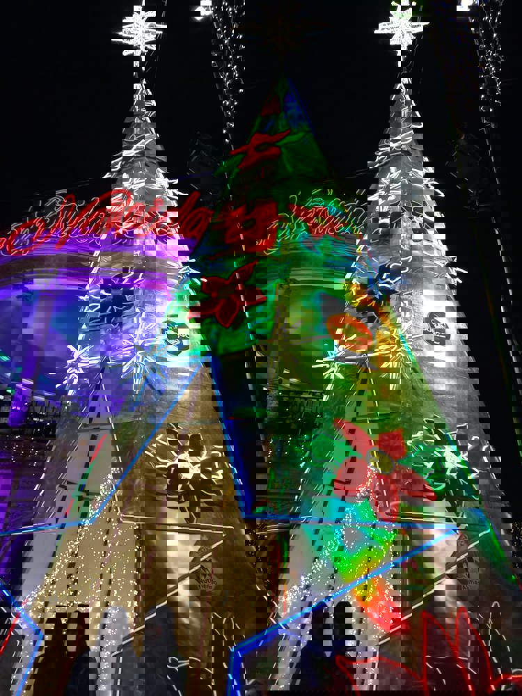 imagen-cuerpo imagen-cuerpo