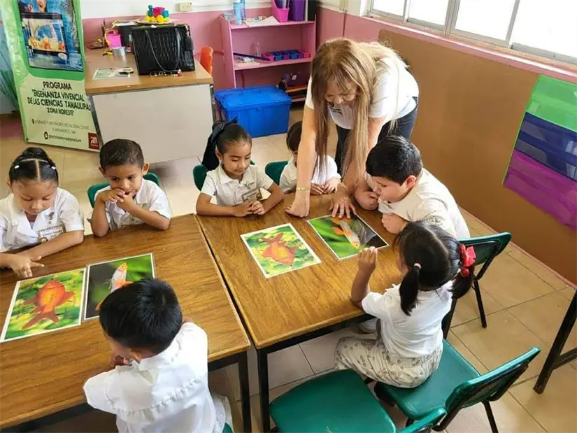 imagen recuadro imagen recuadro