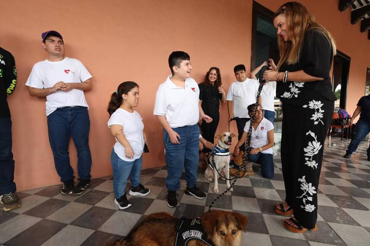 imagen-cuerpo imagen-cuerpo