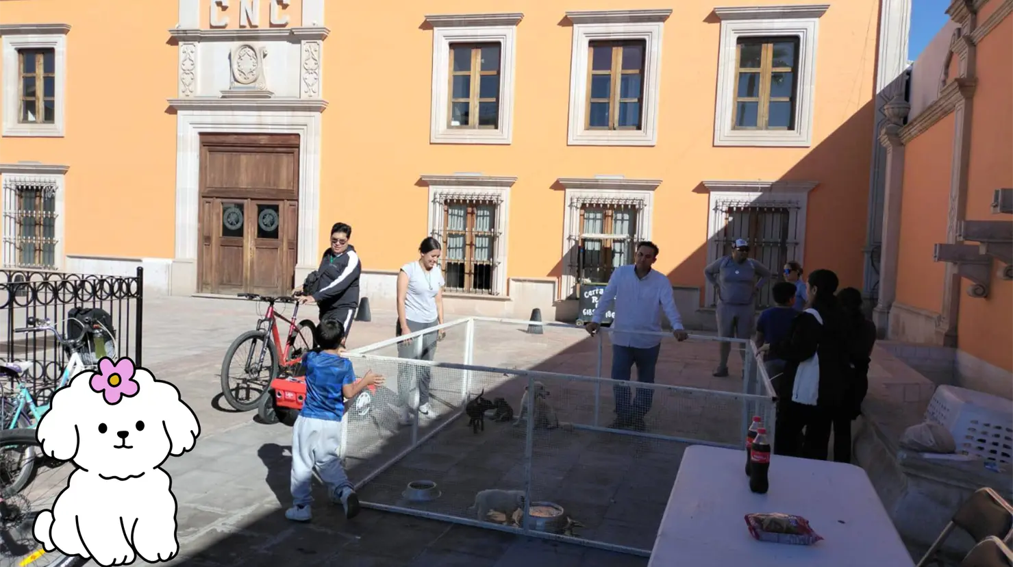 Se tendrá una Feria de Adopción de Mascotas. Foto: Salud Pública Durango.