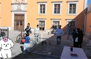 ¿Eres de Durango y quieres una mascota en adopción? Acude a cualquiera de estos lugares