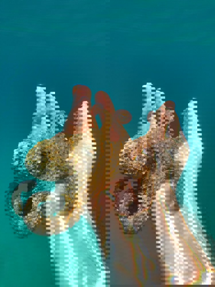 imagen-cuerpo imagen-cuerpo