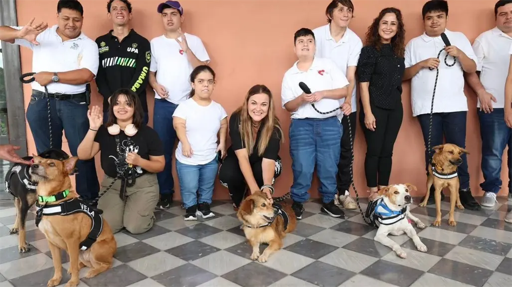 Cinco perritos de ´De la Calle al Corazón´ serán Reyes Caninos del Carnaval Mérida 2026