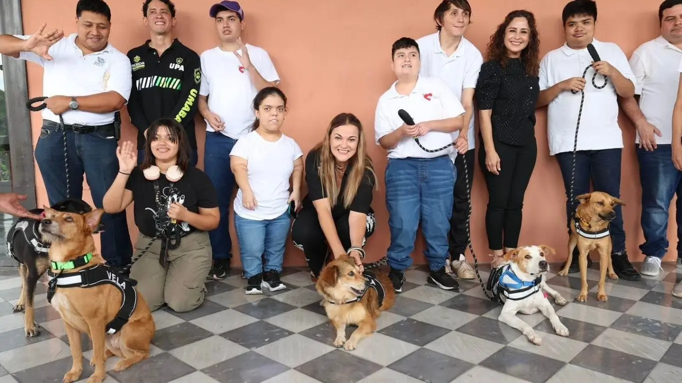 Los cinco lomitos pasaron por un proceso de rehabilitación física y emocional. Foto: Ayuntamerida