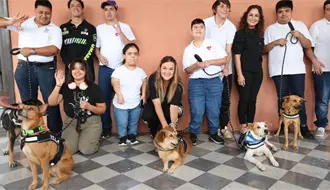 Cinco perritos de ‘De la Calle al Corazón’ serán Reyes Caninos del Carnaval Mérida 2026