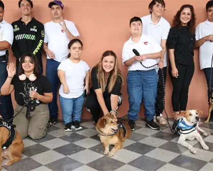 Cinco perritos de ´De la Calle al Corazón´ serán Reyes Caninos del Carnaval Mérida 2026