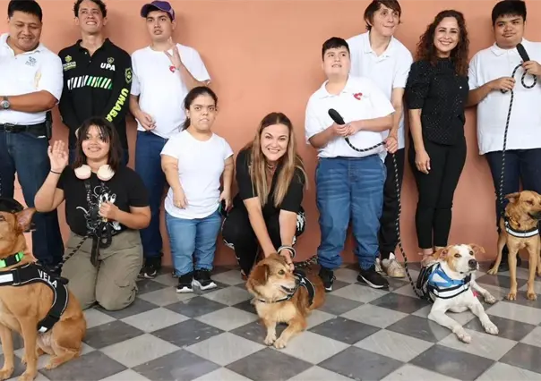 Cinco perritos de ´De la Calle al Corazón´ serán Reyes Caninos del Carnaval Mérida 2026