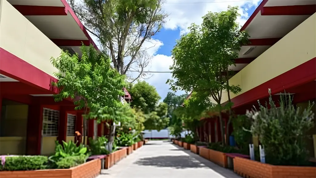 SEP anuncia nuevos bachilleratos: estas son las opciones que llegar&aacute;n al Edomex