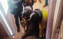 FOTOS | Así liberaron Bomberos de Durango a mujeres atrapadas en un elevador FOTOS | Así liberaron Bomberos de Durango a mujeres atrapadas en un elevador