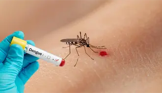 Dengue con signos de alarma es el tipo de caso más frecuente en el estado durante el 2025