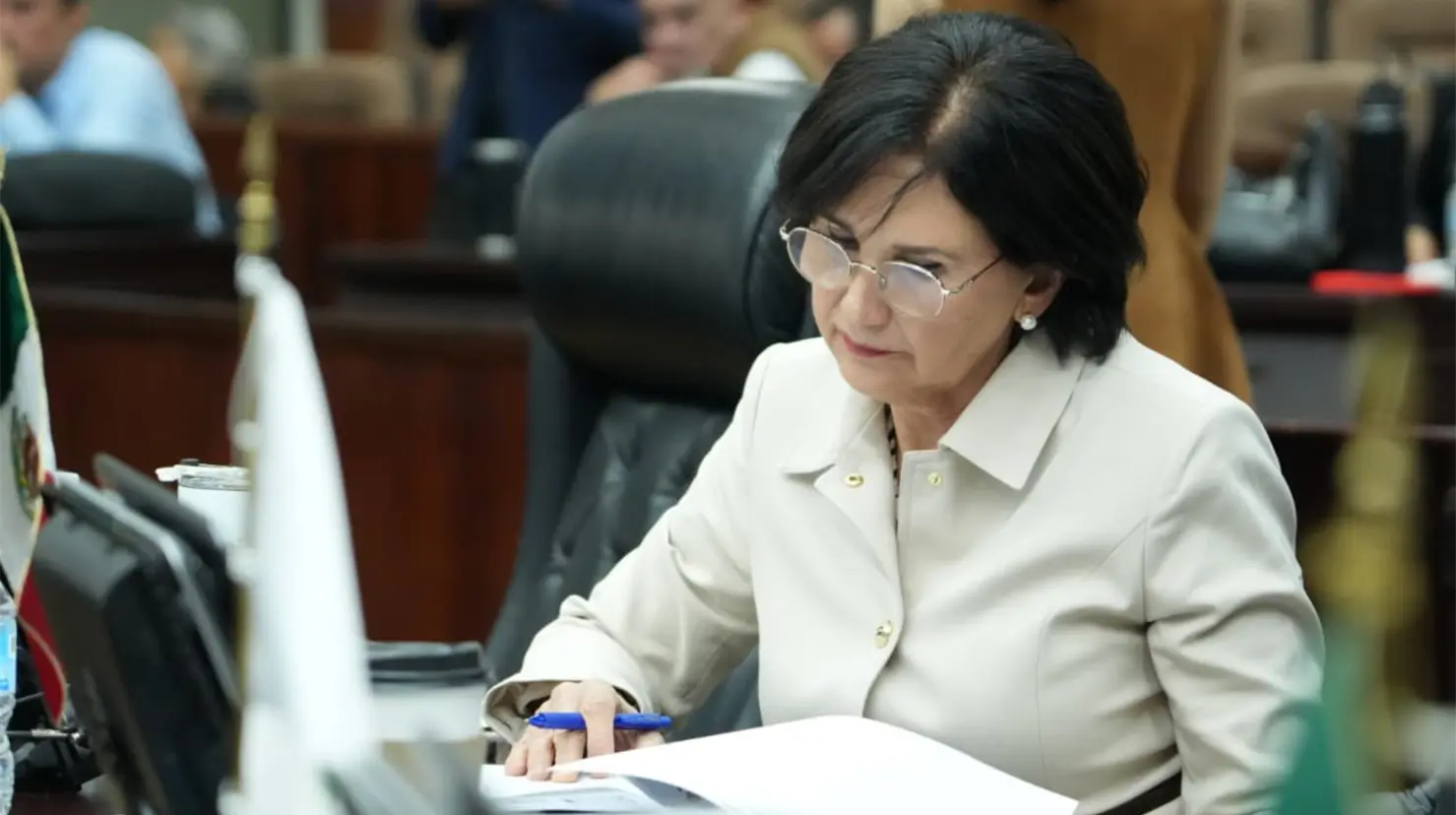 La diputada Rocío Rebollo presentó la iniciativa. | Foto: RRSS.