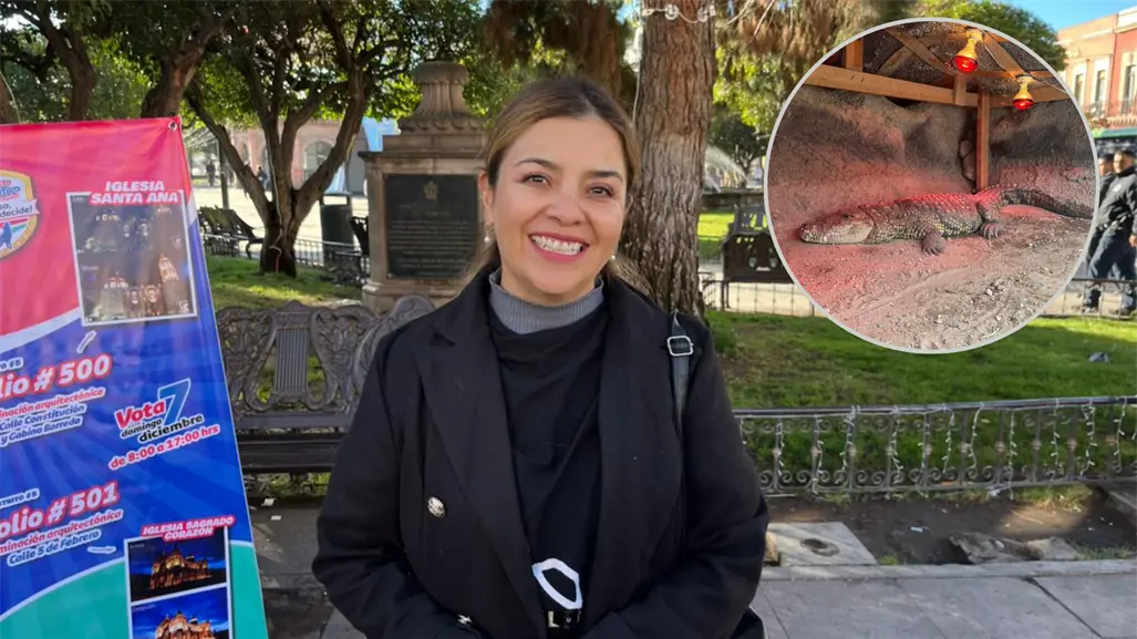 Zoológico de Durango toma estas medidas para proteger a sus animales del frío