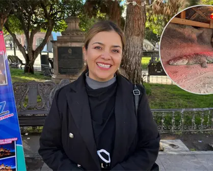 Zoológico de Durango toma estas medidas para proteger a sus animales del frío