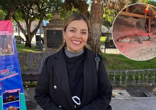 Zool&oacute;gico de Durango toma estas medidas para proteger a sus animales del fr&iacute;o