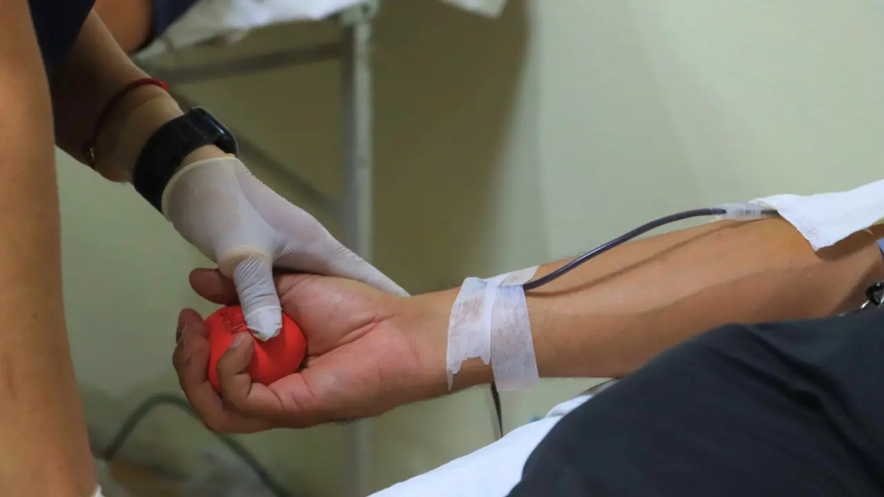Proceso de extracción de sangre en la jornada de donación, donde una persona utiliza una pelota de compresión para facilitar el flujo. Foto: Universidad Autónoma de Baja California Sur