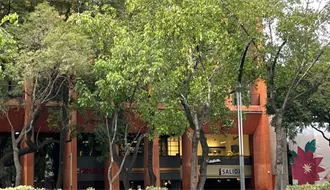 Rentas, amenidades y precios del exclusivo complejo donde apareció sin vida el regidor Brayan Vicente en CDMX