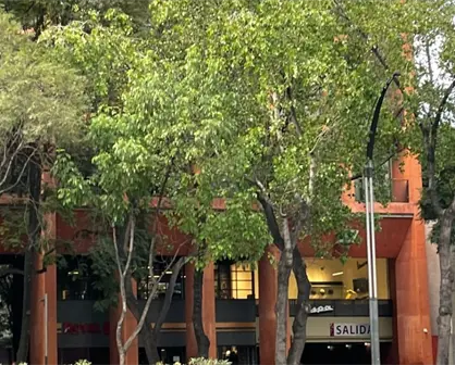 Rentas, amenidades y precios del exclusivo complejo donde apareció sin vida el regidor Brayan Vicente en CDMX