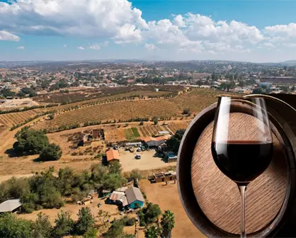 &iquest;D&oacute;nde empieza la Ruta del Vino? Este Pueblo M&aacute;gico de Baja California guarda el origen