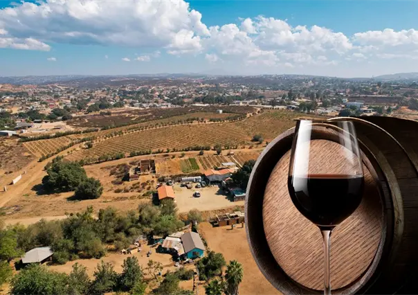 &iquest;D&oacute;nde empieza la Ruta del Vino? Este Pueblo M&aacute;gico de Baja California guarda el origen