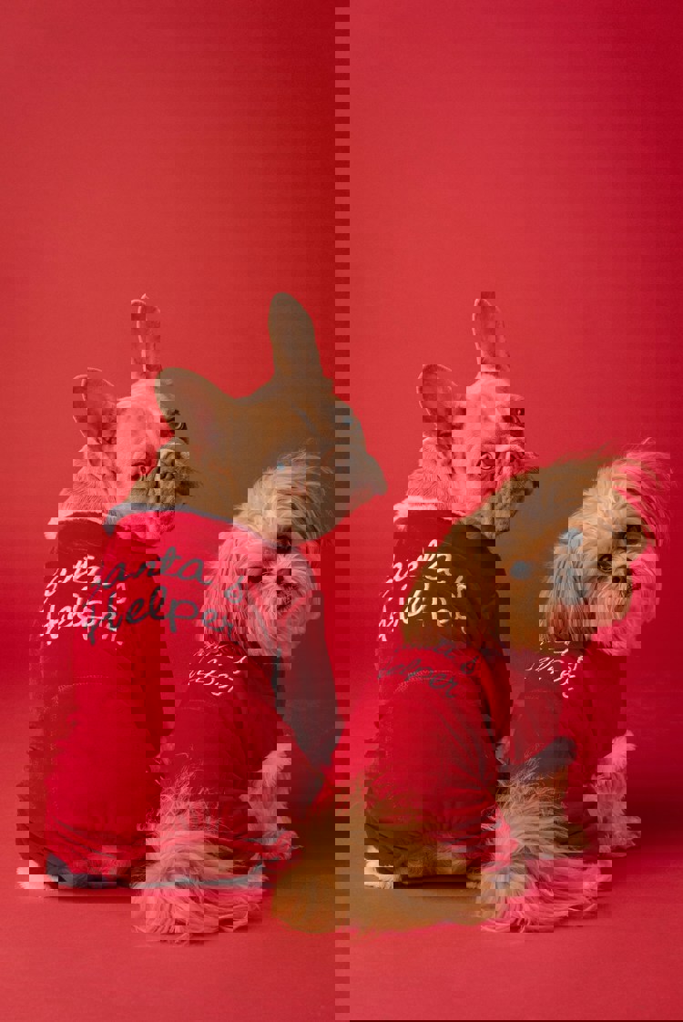 imagen-cuerpo imagen-cuerpo