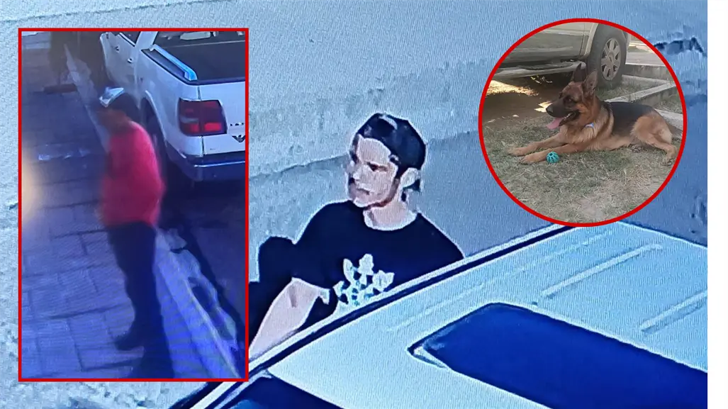 FOTOS | Roban en Durango un perro y cámaras de vigilancia captan a los ladrones