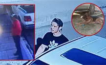 FOTOS | Roban en Durango un perro y cámaras de vigilancia captan a los ladrones FOTOS | Roban en Durango un perro y cámaras de vigilancia captan a los ladrones