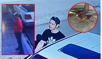 FOTOS | Roban en Durango un perro y cámaras de vigilancia captan a los ladrones