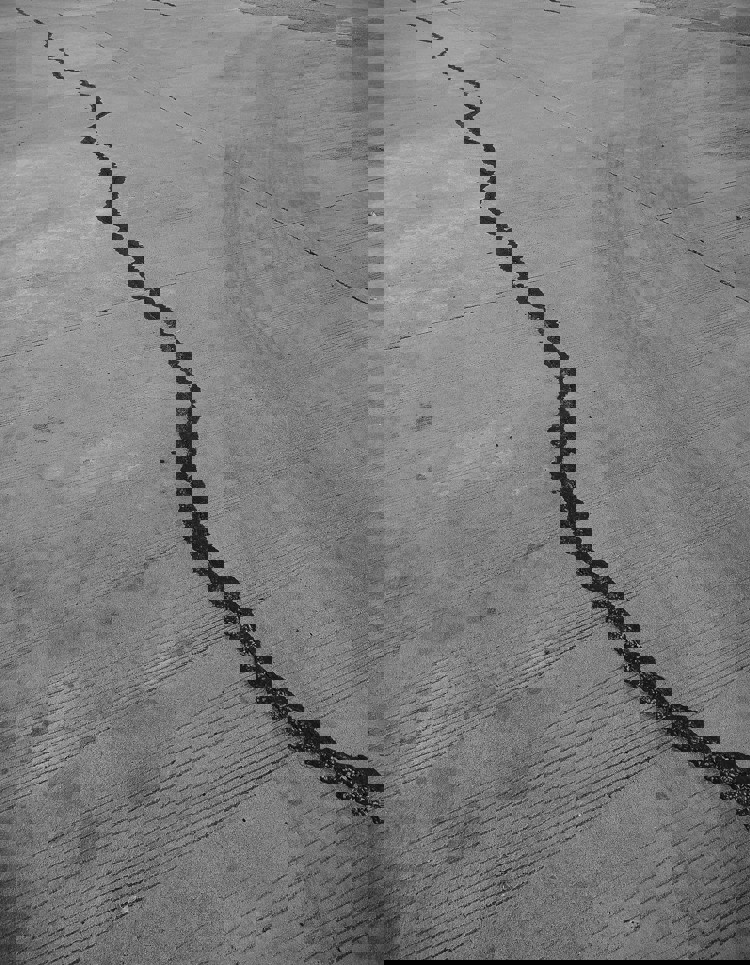 imagen-cuerpo imagen-cuerpo