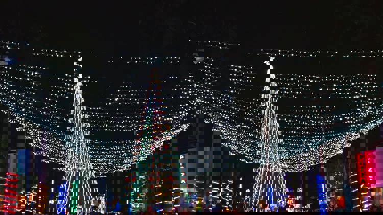 imagen-cuerpo imagen-cuerpo