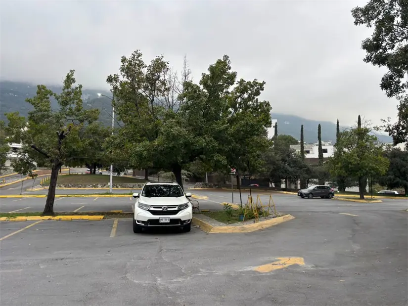 En San Pedro, el 11 de diciembre será un día especial con las Mañanitas que Pedro Fernández dedicará a la Virgen de Guadalupe. Foto: Vianney Carrera