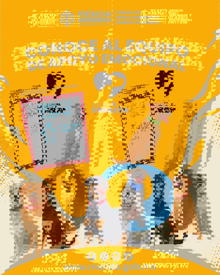 imagen-cuerpo imagen-cuerpo