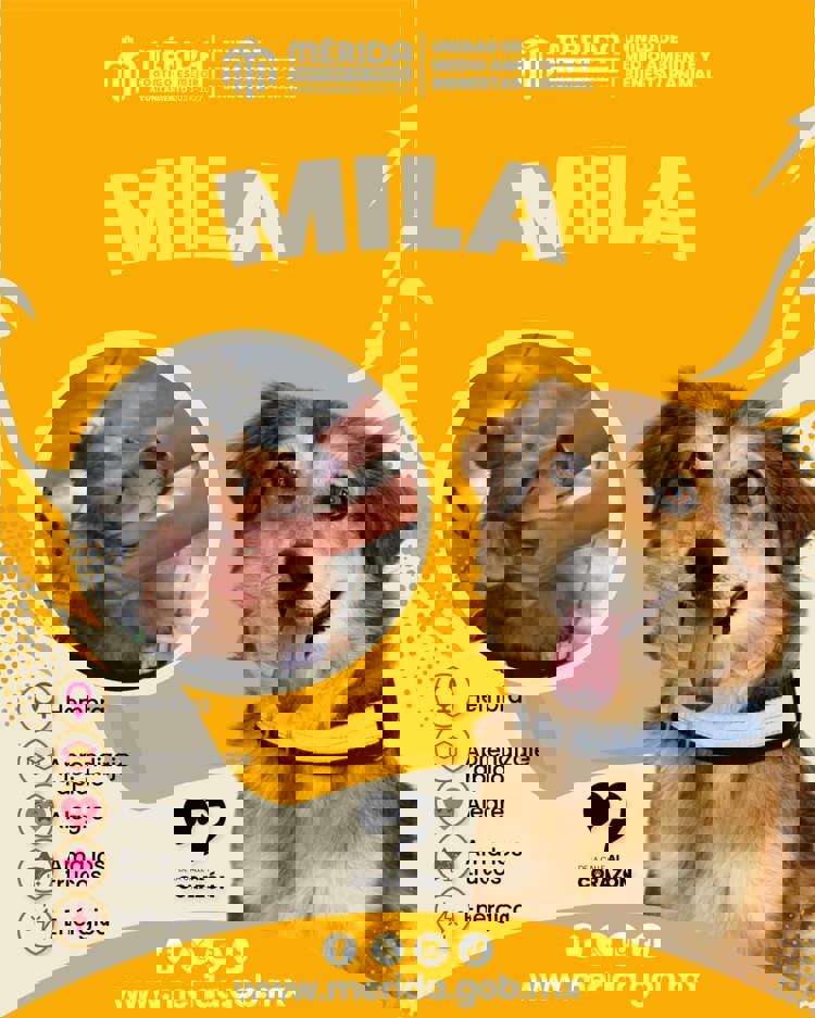 imagen-cuerpo imagen-cuerpo