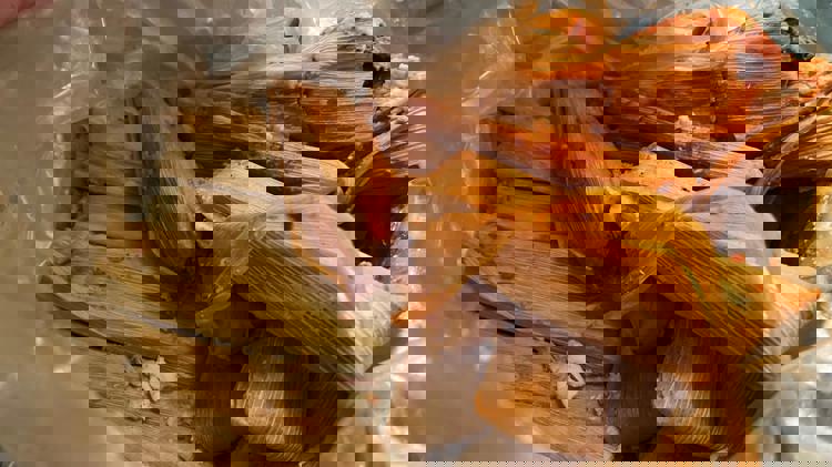 imagen-cuerpo imagen-cuerpo