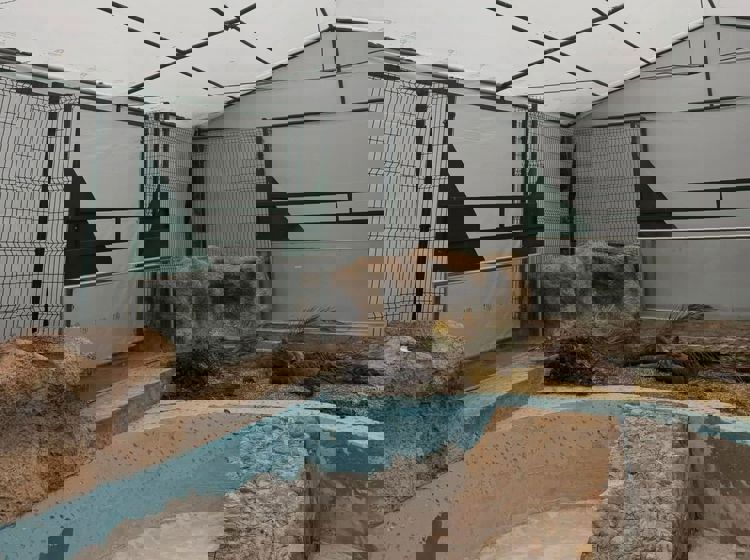 imagen-cuerpo imagen-cuerpo