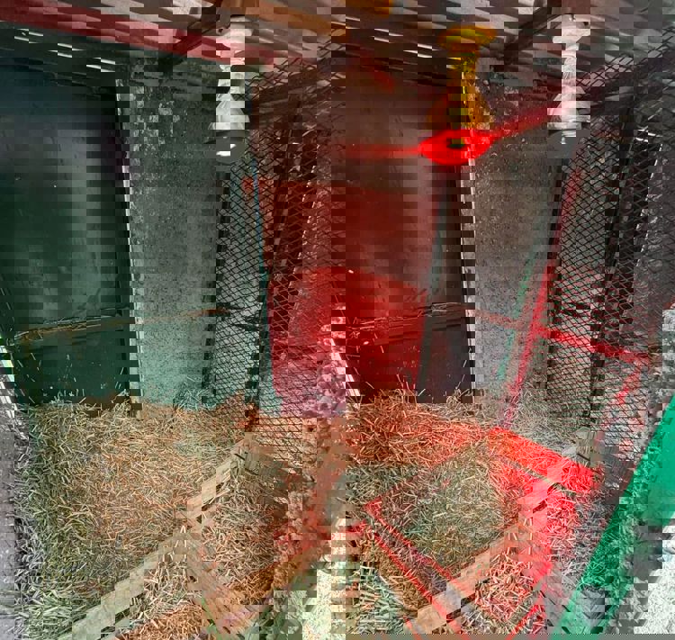 imagen-cuerpo imagen-cuerpo