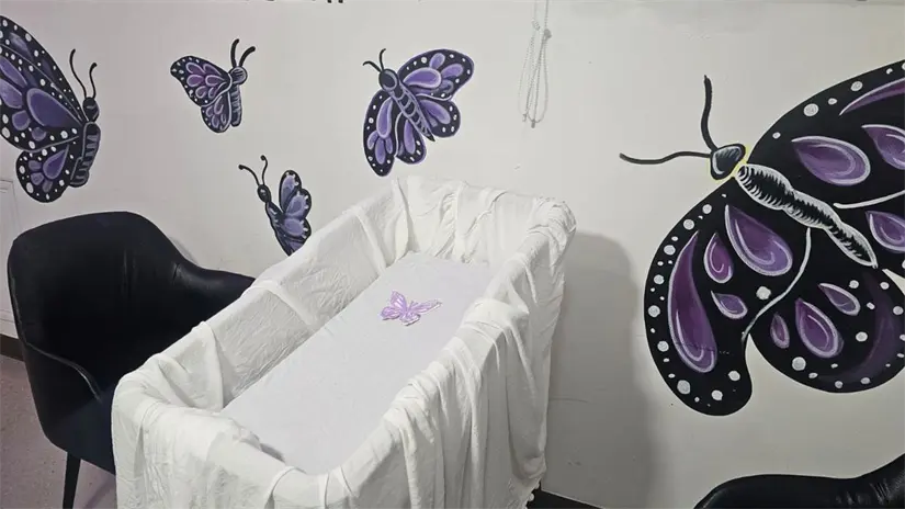 Se pondrá una mariposa en la habitación de la mujer. Foto: Luis Antonio Alfaro