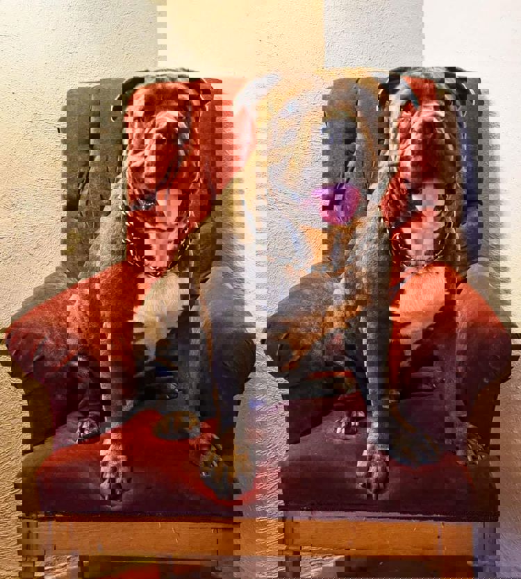 imagen-cuerpo imagen-cuerpo