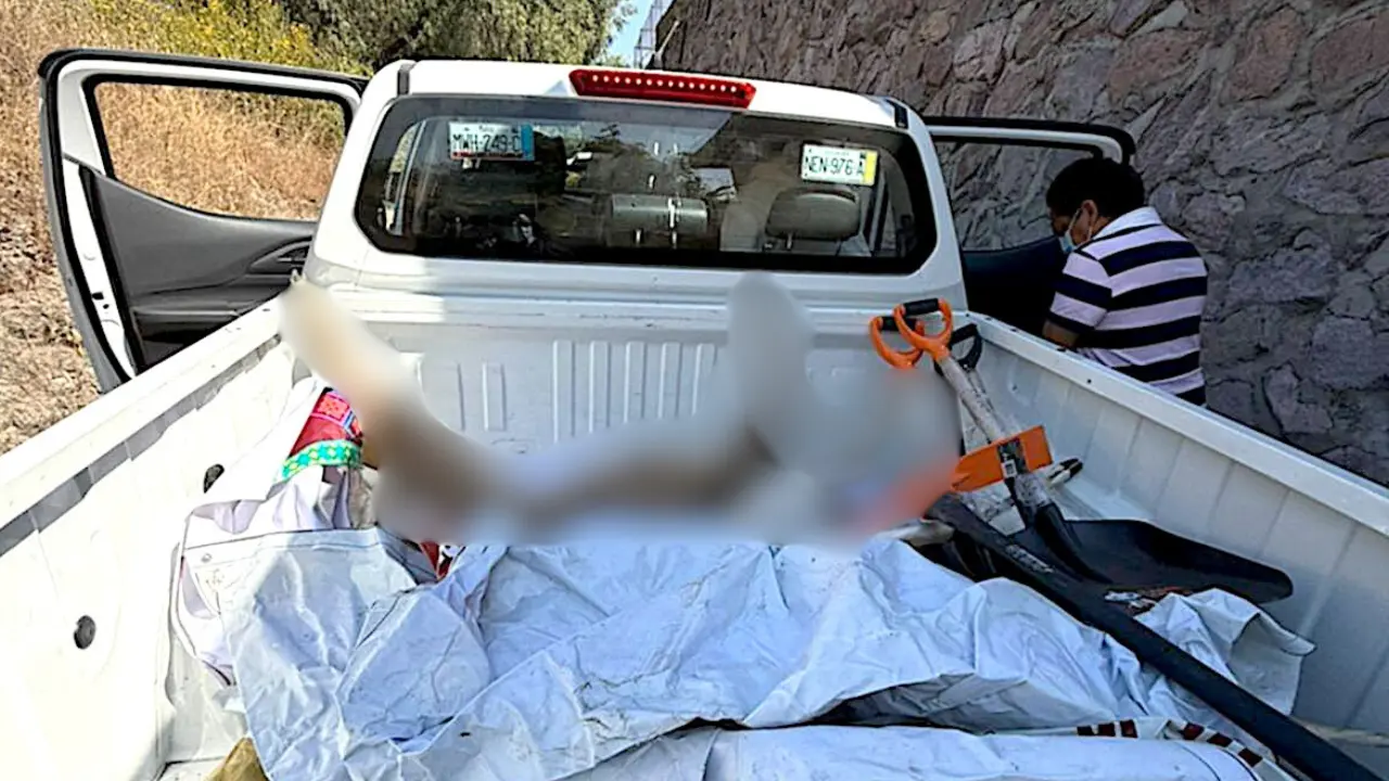 Se hallaron siete animales muertos en el zoológico Ehécatl de Ecatepec, tres antílopes, tres siervos y un faisán. entre ellos Foto: X/ @Alerta_Ecatepec (Canva)