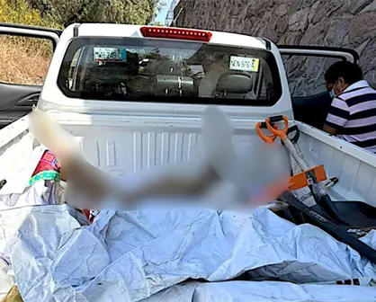 Escándalo en Ecatepec: ¿por qué hay quejas por el maltrato animal en el Zoológico Ehécatl?