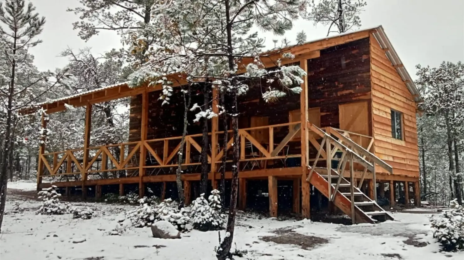 Cabaña en la sierra de Durango | Foto: RRSS