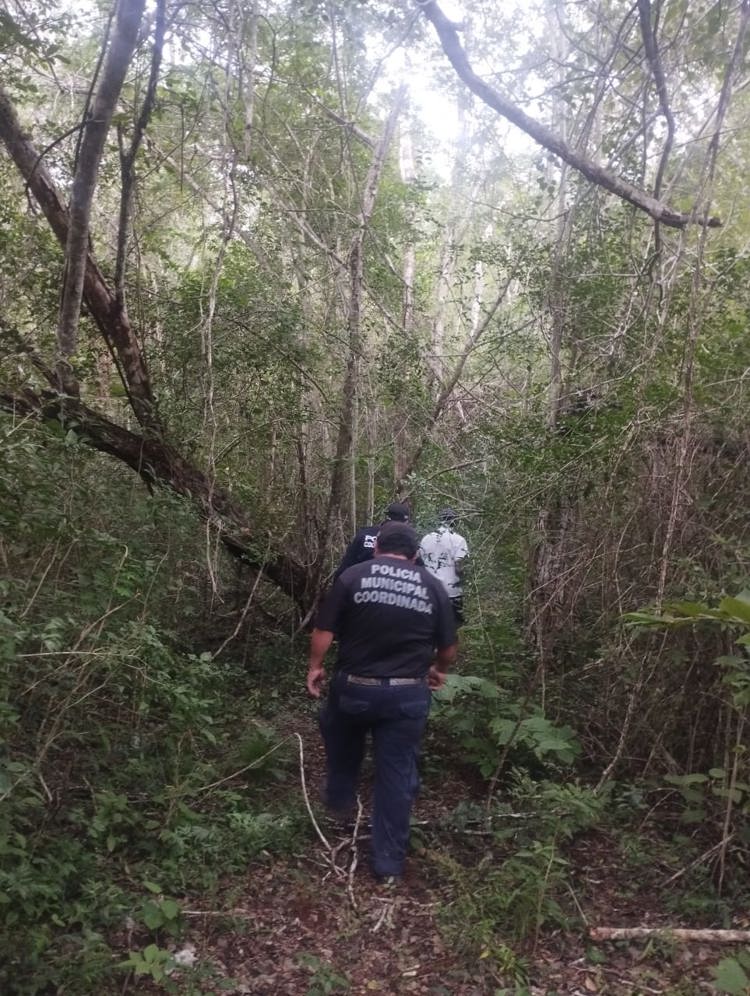 imagen-cuerpo imagen-cuerpo