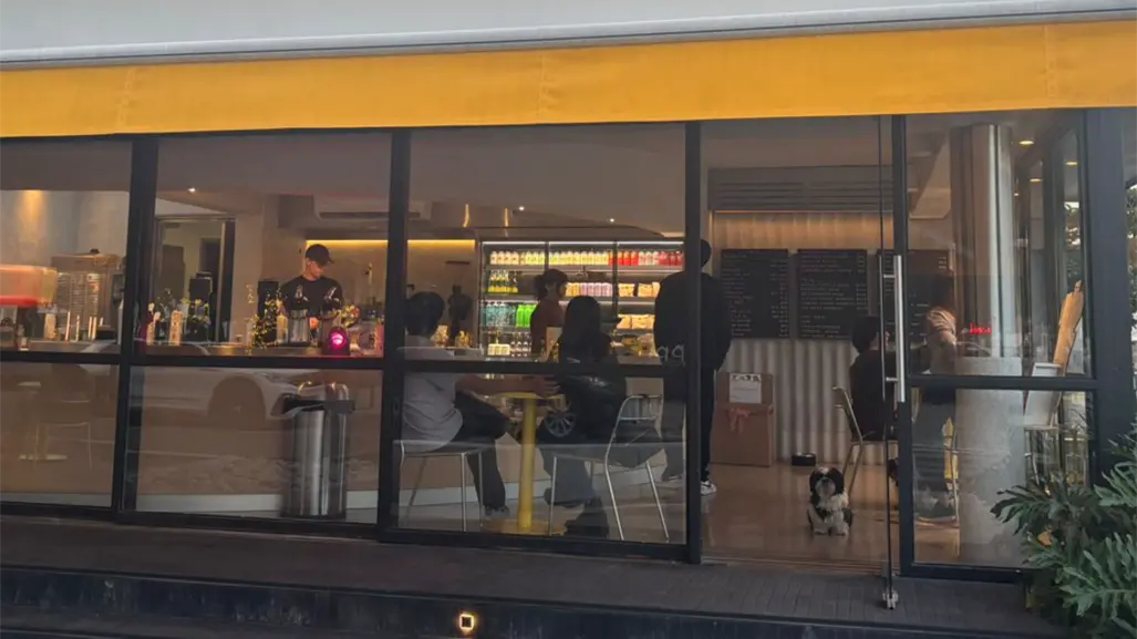 Colecta ciudadana busca abrigar a perros callejeros por las bajas temperaturas