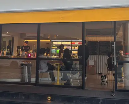 Colecta ciudadana busca abrigar a perros callejeros por las bajas temperaturas