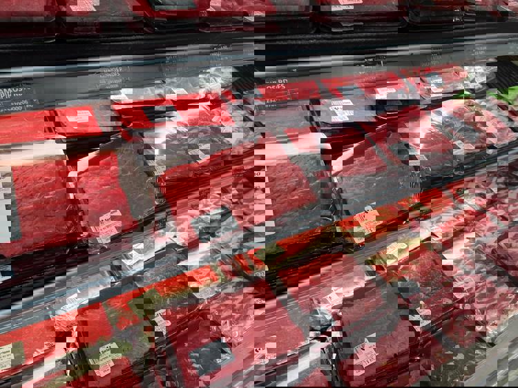 imagen-cuerpo imagen-cuerpo