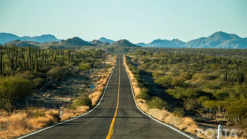imagen recuadro Paisaje característico del desierto sudcaliforniano a lo largo de la Carretera Transpeninsular. Foto: Archivo POSTA Baja California Sur
